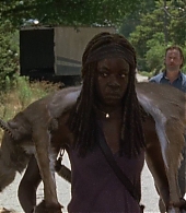 twd704-0319.jpg