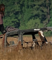 twd704-0458.jpg