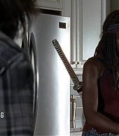 twd705-0071.jpg