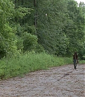 twd-707-0038.jpg