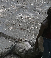 twd-707-0129.jpg