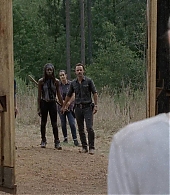 twd-708-0361.jpg