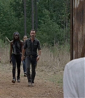 twd-708-0366.jpg