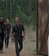 twd-708-0368.jpg