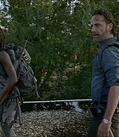 twd-712-say-yes-0367.jpeg