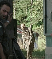 twd-712-say-yes-0646.jpeg