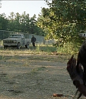 twd-712-say-yes-0783.jpeg