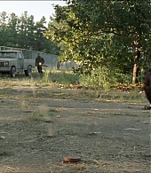 twd-712-say-yes-0784.jpeg