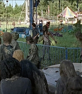 twd-712-say-yes-0810.jpeg