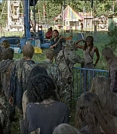 twd-712-say-yes-0818.jpeg