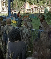 twd-712-say-yes-0819.jpeg