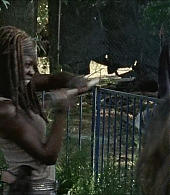 twd-712-say-yes-0830.jpeg