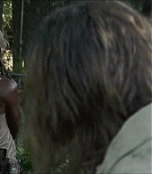 twd-712-say-yes-0831.jpeg