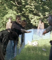 twd-712-say-yes-0838.jpeg