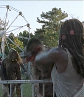 twd-712-say-yes-0883.jpeg