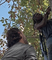 twd-715-0045.jpeg