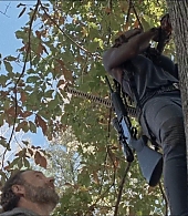 twd-715-0070.jpeg