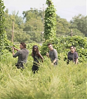 twd-709-stills-2-0001.jpg