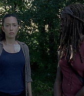 twd-806-0456.jpg