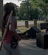 twd-806-0600.jpg