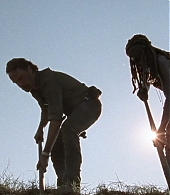 twd0809-2162.jpg