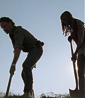 twd0809-2172.jpg