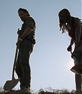 twd0809-2179.jpg