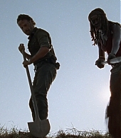 twd0809-2181.jpg