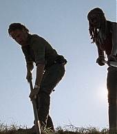 twd0809-2182.jpg