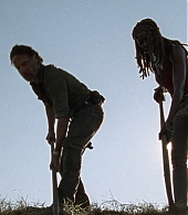 twd0809-2184.jpg