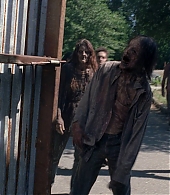 twd0810-0096.jpg