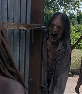 twd0810-0098.jpg