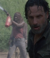 twd0810-0291.jpg