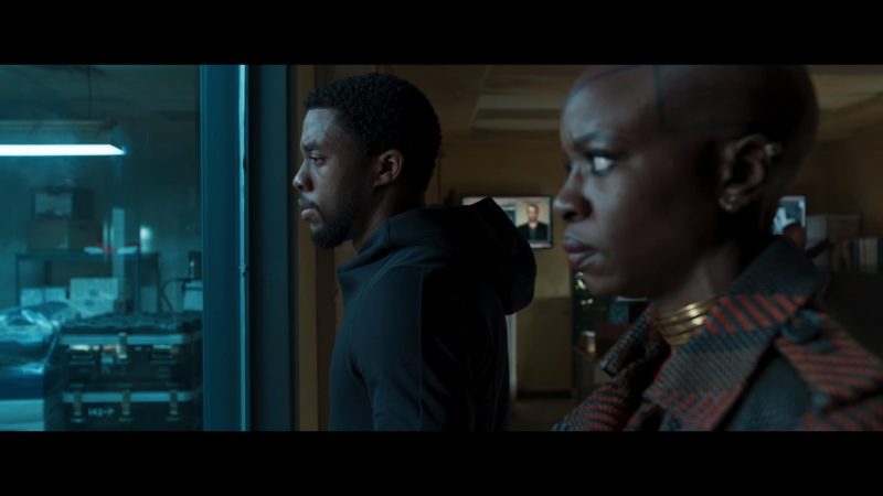 Chadwick Boseman and Danai Gurira in Black Panther